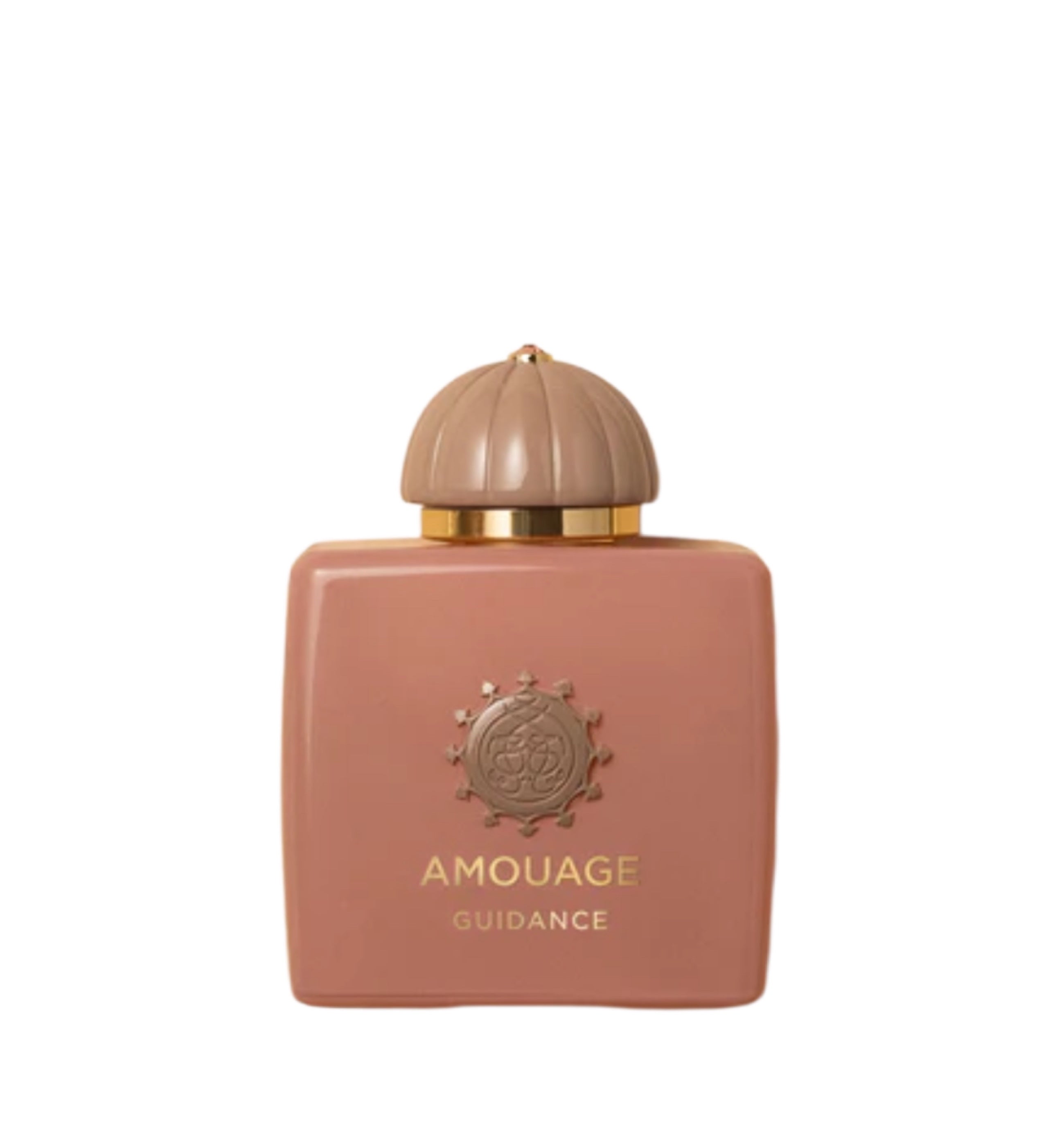 AMOUAGE - GUIDANCE EDP 100ML (SCATOLATO)